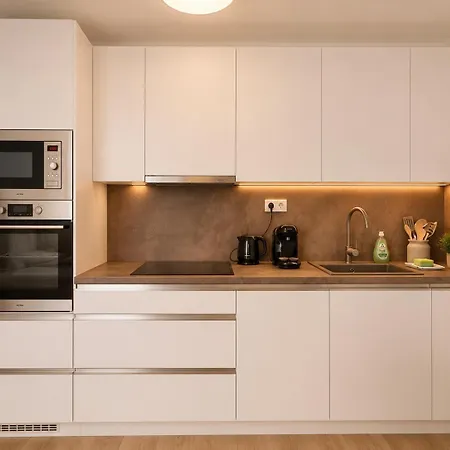 Apartmán Auerswaldova Center Brno